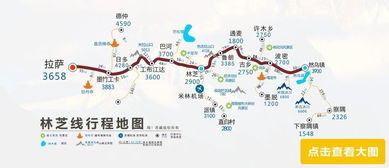 随机交通指南（别太认真）