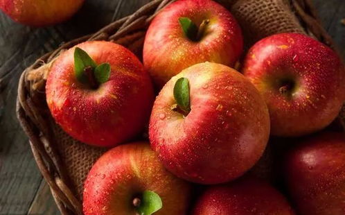 午时（中午11-13点）——属马者新陈代谢加速的关键