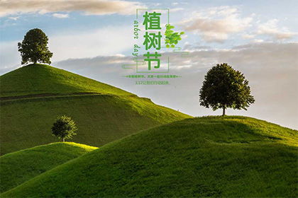 历史镜像下的土地自主权与生态伦理