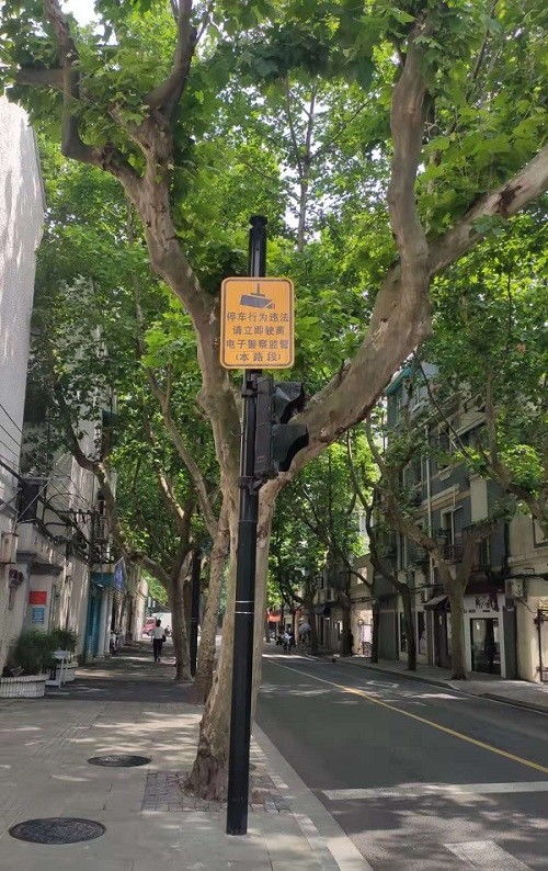 一、大树遮挡致使明堂受阻、后代发展道路遭遇阻滞