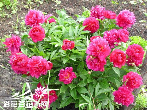 四、 惯与民间禁忌的科学理性思考
