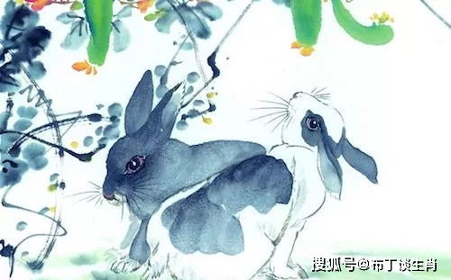 属兔2026年4月财运如何，与该年事业运势有何关联？