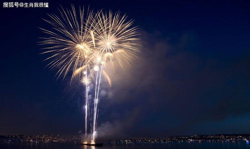 属兔者：烟火气中的微观情感与“微小确定性”效应