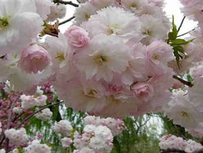 门票陷阱：你以为很便宜？天真！