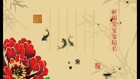 起名学类原创文章