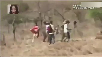 第一章：梦中追逐的文化渊源与象征意义