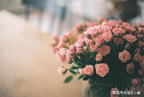 2026年属鸡的人异性桃花运具体在什么时间点会到来？