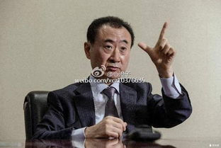 五、以王健林父子为例：典型案例分析