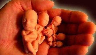 1. 佛教教义中的相关阐释