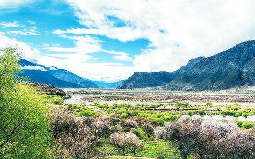 旅游路线规划：从林芝县城到拉萨河谷（或着说是一条迷宫）