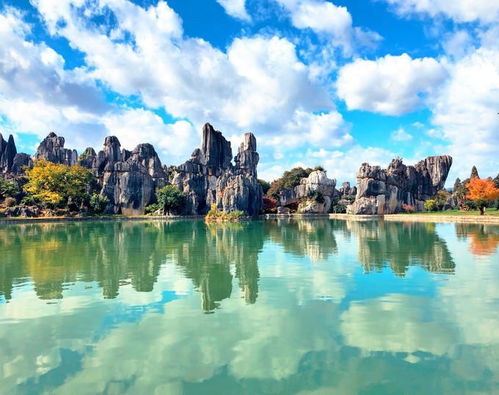 1. 去哪儿旅行：一站式预订的便捷选择