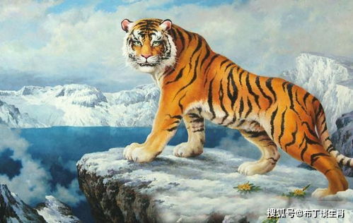 属虎老板财运如何，起名最旺公司名字有哪些推荐？