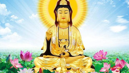 华盖星入命是什么意思？菩萨不见嫩否？