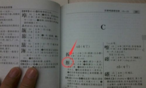 别忘了给名字加点“料”！