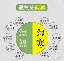 湿气理论：中医视角下的关联