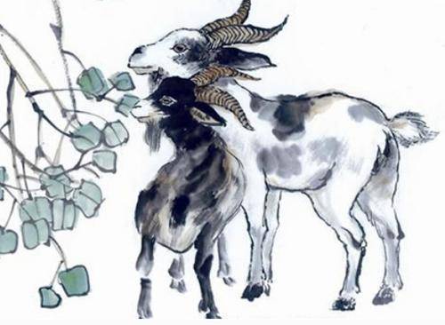 属羊八字运势如何？各时辰出生的人命运怎样？