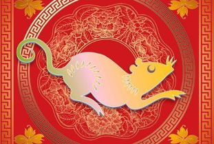 兔年八字命运如何影响财运？哪几年是兔年？财运如何？