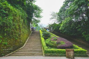 惯与住宿选择的灵魂拷问