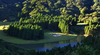 1. 聚气养生之功效