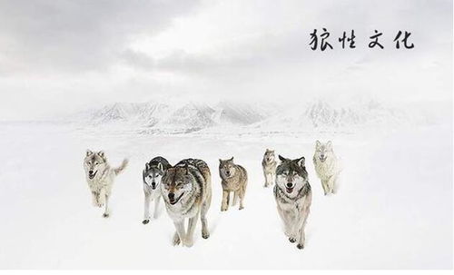 行为表现的辨识要点