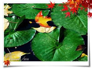 叠翠流金描述的天气是何种景象，对应的生肖是哪一位？