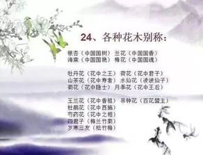 一、 和合术的理论根基与法事流程概述