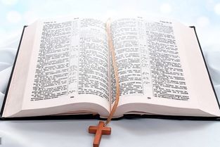 1.1 研究动机与意义