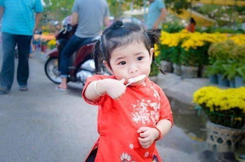 2026年乔宝宝女宝宝取名，有没有三个字的好听的乔字长名推荐？