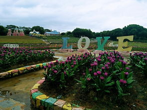 青岛花卉市场旅游攻略：一场混乱与芬芳的邂逅