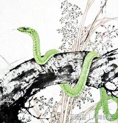 属蛇人五行喜木，如何选择五行相合的手机号码？