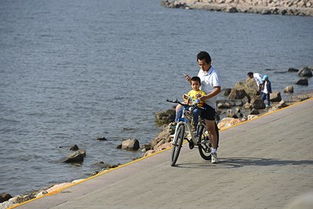 深圳湾公园：自行车堵车与红树林的距离