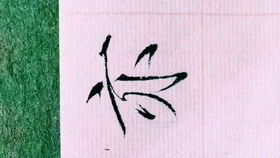 《般若波罗蜜多心经》中的“心无挂碍”