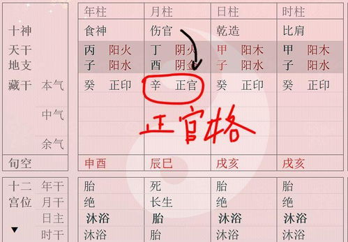 格局分析：桂丑大运与旺转衰的内在逻辑