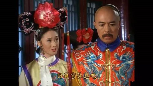 新还珠格格中皇上生辰八字具体是什么有什么含义？