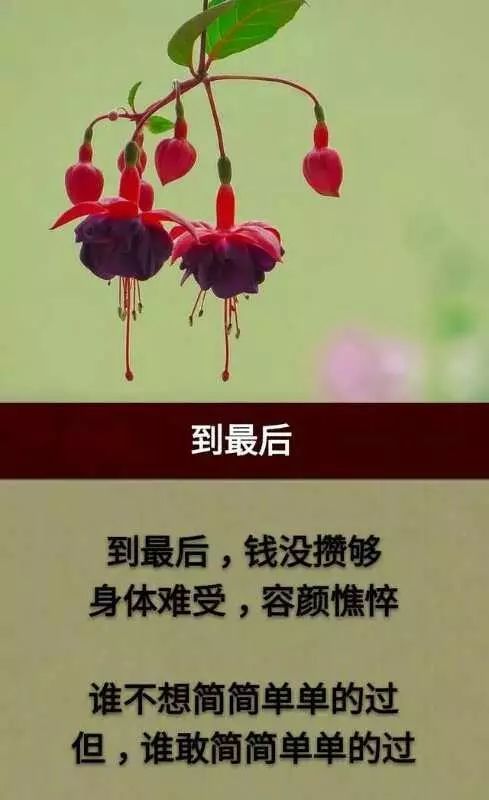 女命主勤俭劳心是否代表她可能过度操劳，这种情况常见吗？