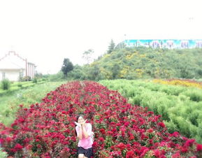 食物贵到想报警！