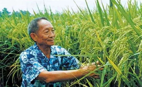 第二篇：蛇影真实容——幻象背后的生态逻辑解析