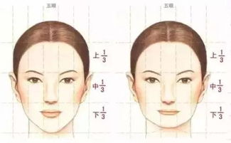 ：面部轮廓美学与命理运势的深度审视