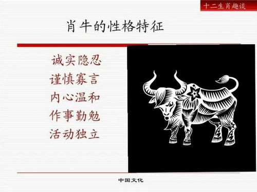 音律美学