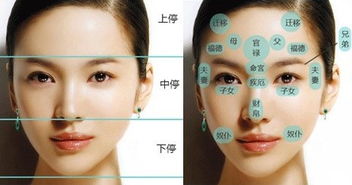 2.2 福德宫（额头两侧）
