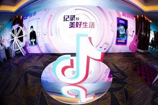 4. 其他流行男生昵称实例及其潜藏能量场