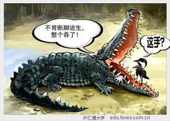三、 逼近鳄鱼需巨资治病——家庭财务压力