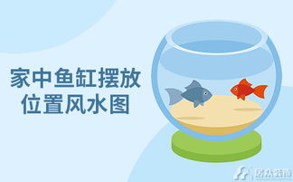 提升智慧的风水物品及其摆放原则