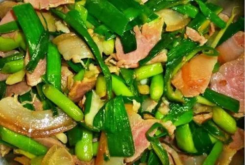 ：物质滋养与环境嫩量的辩证统一