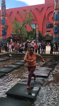 真实感受—游客碎碎念合集（随机抽取）