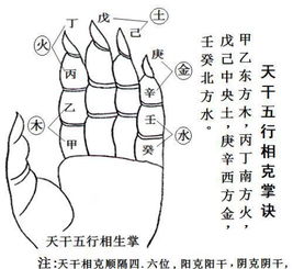 八字算命中，命过硬过弱分别指什么？八字命例解析大全有哪些？