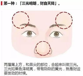 第一：面相中有这样一句话：问贵在额，问富在鼻。