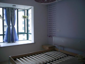 闲置房屋中的潜在健康风险