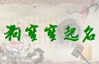 注意事项