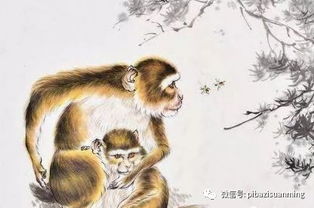 73年属猴男人和68年属猴男人一生感情如何？婚姻状况怎样？